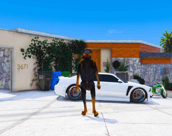 Gta 5 Mods  Dogesh Addonprop GTA 5 addon ped mod